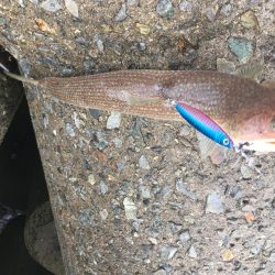 雨の中でショアジギング